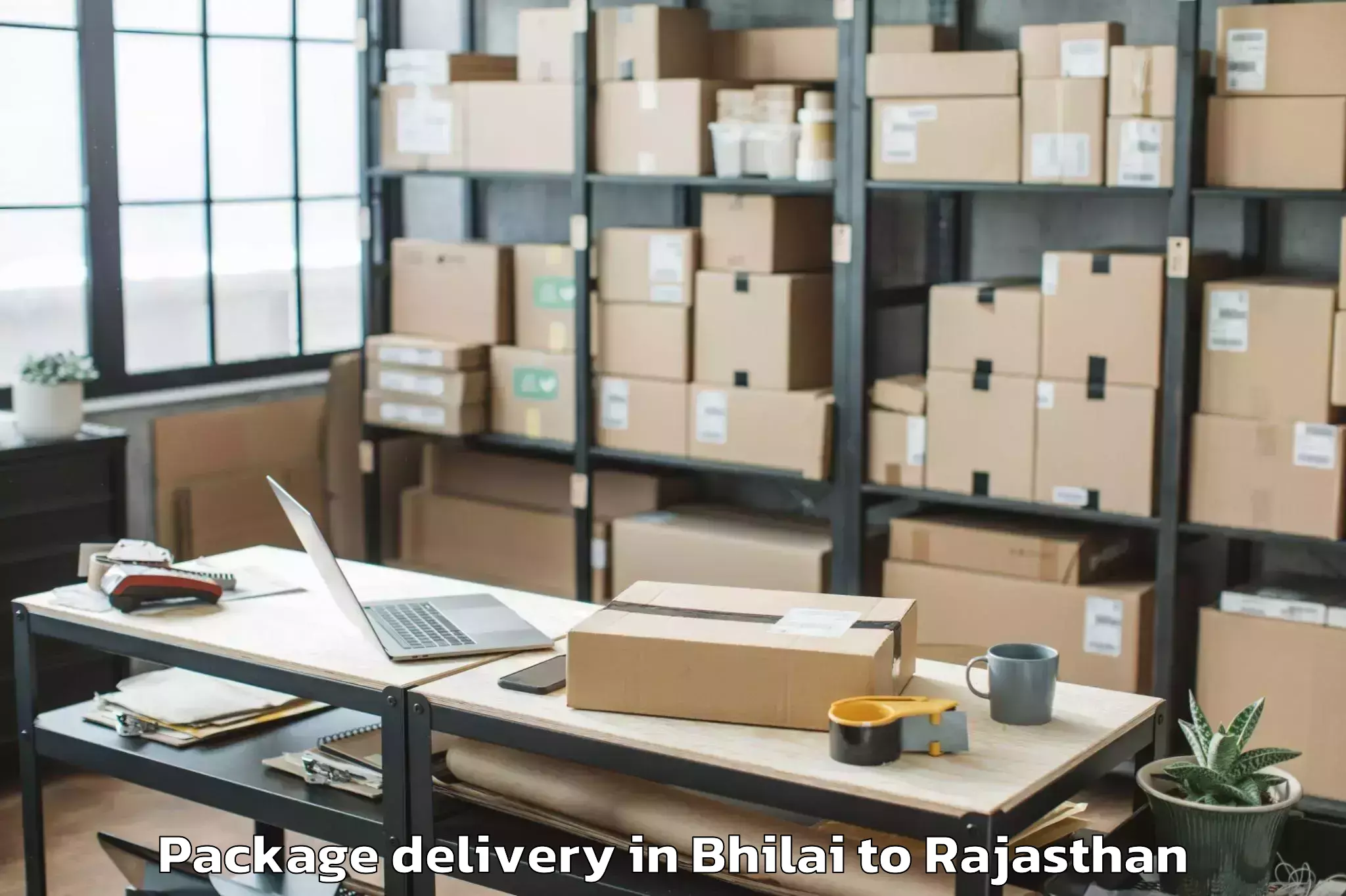 Affordable Bhilai to Bhasawar Package Delivery